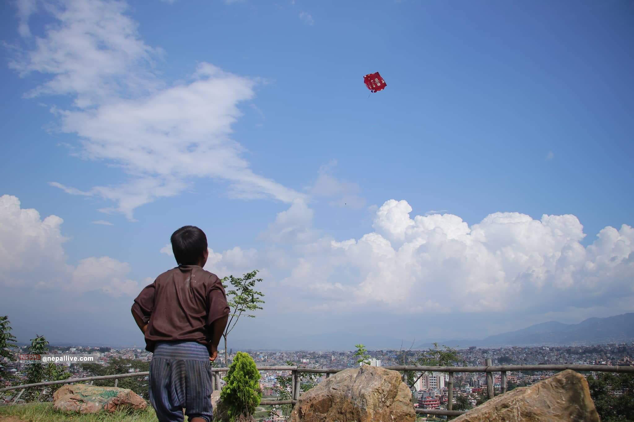 Kites take to Kathmandu skies (photo feature) Nepal Live Today Nepal